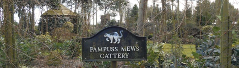 Pampuss Mews Cattery
